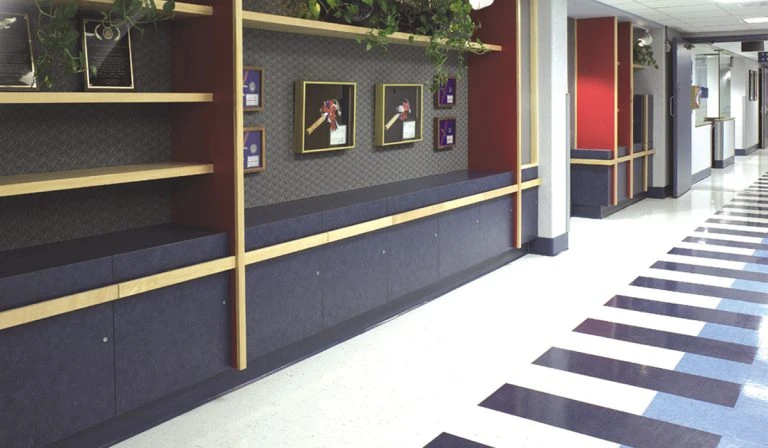 Veterans Affairs Medical Center – Suites & Clinics